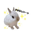 だいふくくん3（個別スタンプ：5）