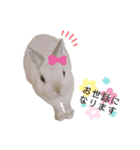 だいふくくん3（個別スタンプ：6）