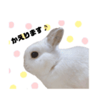だいふくくん3（個別スタンプ：13）