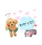 アルモのスタンプ（個別スタンプ：5）