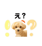 アルモのスタンプ（個別スタンプ：7）