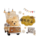 アルモのスタンプ（個別スタンプ：14）