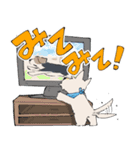スコティッシュテリア スタンプ（個別スタンプ：3）