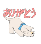 スコティッシュテリア スタンプ（個別スタンプ：7）
