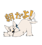 スコティッシュテリア スタンプ（個別スタンプ：14）