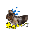 ななみ第2弾（個別スタンプ：7）
