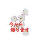 peace 花（個別スタンプ：4）