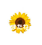 peace 花（個別スタンプ：7）