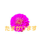 peace 花（個別スタンプ：10）