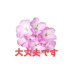 peace 花（個別スタンプ：11）