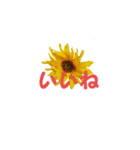 peace 花（個別スタンプ：13）