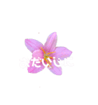 peace 花（個別スタンプ：14）