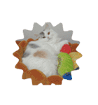 げっしとねこ（個別スタンプ：20）