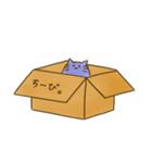 箱にはいったねこ（個別スタンプ：20）