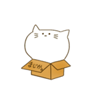 箱にはいったねこ（個別スタンプ：21）