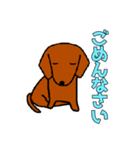 ダックスフントの言葉スタンプ（個別スタンプ：11）