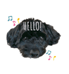 Life with animals！（個別スタンプ：2）