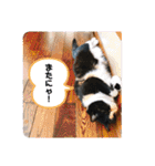 Life with animals！（個別スタンプ：5）