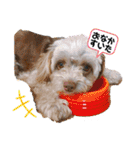 Life with animals！（個別スタンプ：13）