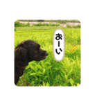 Life with animals！（個別スタンプ：15）