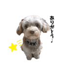 Life with animals！（個別スタンプ：19）