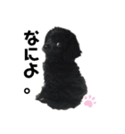 Life with animals！（個別スタンプ：29）