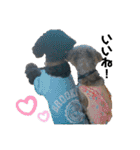 Life with animals！（個別スタンプ：30）