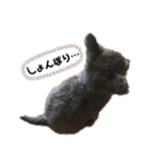 Life with animals！（個別スタンプ：31）