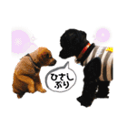 Life with animals！（個別スタンプ：35）