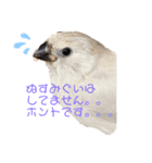 チャポ一家2（個別スタンプ：1）