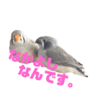 チャポ一家2（個別スタンプ：7）