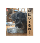 むぎの スタンプ（個別スタンプ：1）