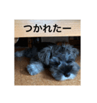 むぎの スタンプ（個別スタンプ：10）