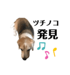 寝ながら屁をするビーグル犬プント（個別スタンプ：8）
