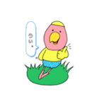 コザクラ大将（個別スタンプ：1）