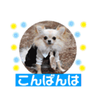 チェリー＆ピーチ♪スバル♪アムール♪ポム（個別スタンプ：3）