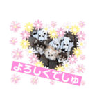 チェリー＆ピーチ♪スバル♪アムール♪ポム（個別スタンプ：7）