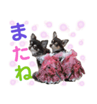 チェリー＆ピーチ♪スバル♪アムール♪ポム（個別スタンプ：8）