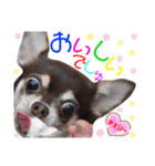 チェリー＆ピーチ♪スバル♪アムール♪ポム（個別スタンプ：10）