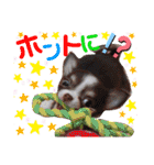チェリー＆ピーチ♪スバル♪アムール♪ポム（個別スタンプ：16）