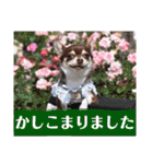 チェリー＆ピーチ♪スバル♪アムール♪ポム（個別スタンプ：19）