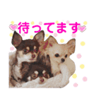 チェリー＆ピーチ♪スバル♪アムール♪ポム（個別スタンプ：27）