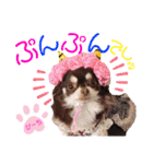 チェリー＆ピーチ♪スバル♪アムール♪ポム（個別スタンプ：28）