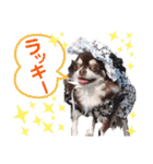 チェリー＆ピーチ♪スバル♪アムール♪ポム（個別スタンプ：31）