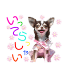 チェリー＆ピーチ♪スバル♪アムール♪ポム（個別スタンプ：32）