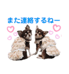 チェリー＆ピーチ♪スバル♪アムール♪ポム（個別スタンプ：33）