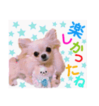 チェリー＆ピーチ♪スバル♪アムール♪ポム（個別スタンプ：40）