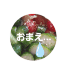 しましまミルクのmen'sっぽいスタンプ☔☔（個別スタンプ：14）