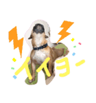 フレンチブルドッグ☆リブの楽しい毎日②（個別スタンプ：8）