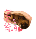 フレンチブルドッグ☆リブの楽しい毎日②（個別スタンプ：20）